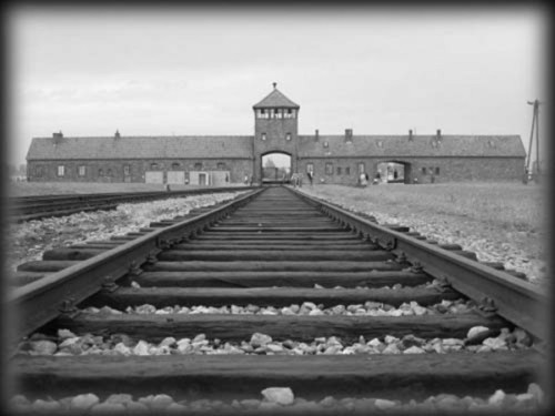 auschwitz_800_800