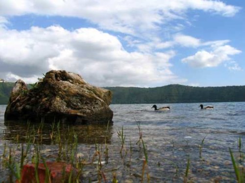 Lago di Albano_1146-08-13-51-2289