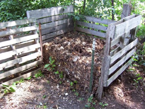 compost_pile_1