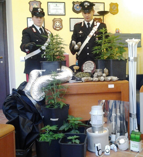 L'attrezzatura-e-la-marijuana-sequestrata-dai-Carabinieri-(2)