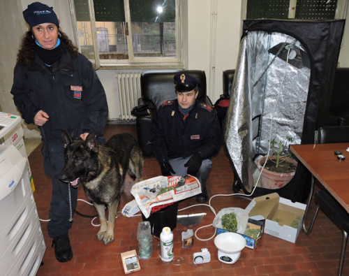 cani-serra-polizia-(10)