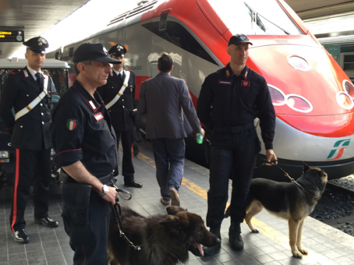 I-controlli-dei-Carabinieri-a-Termini-(2)