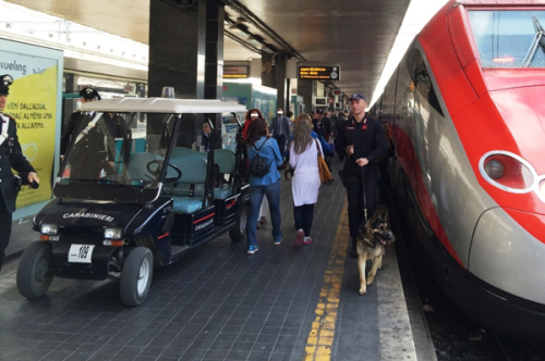 I-controlli-dei-Carabinieri-a-Termini-(3)