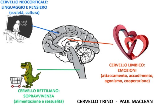 Cervello triunico