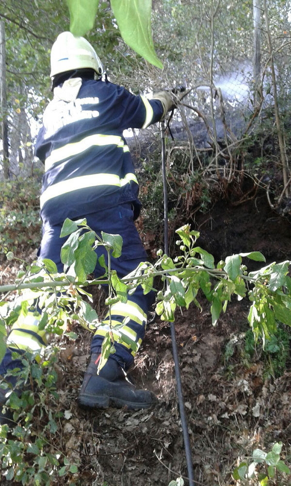 protezione-monteporzio-tuscolo-(1)